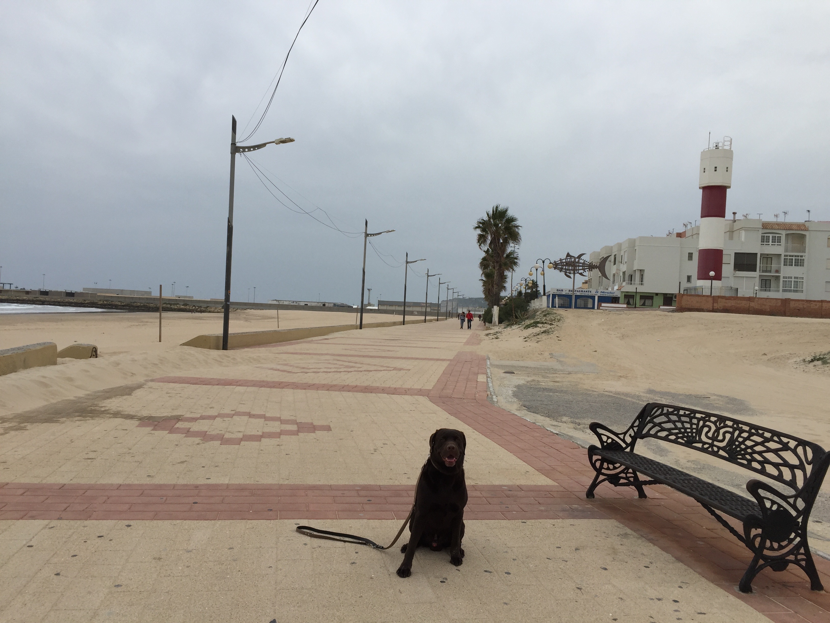 Ben auf der Strandpromenade von Barbate. Im Hintergrund der Leuchtturm und das Thunfischzeichen der Fischerdörfer La Jandas.