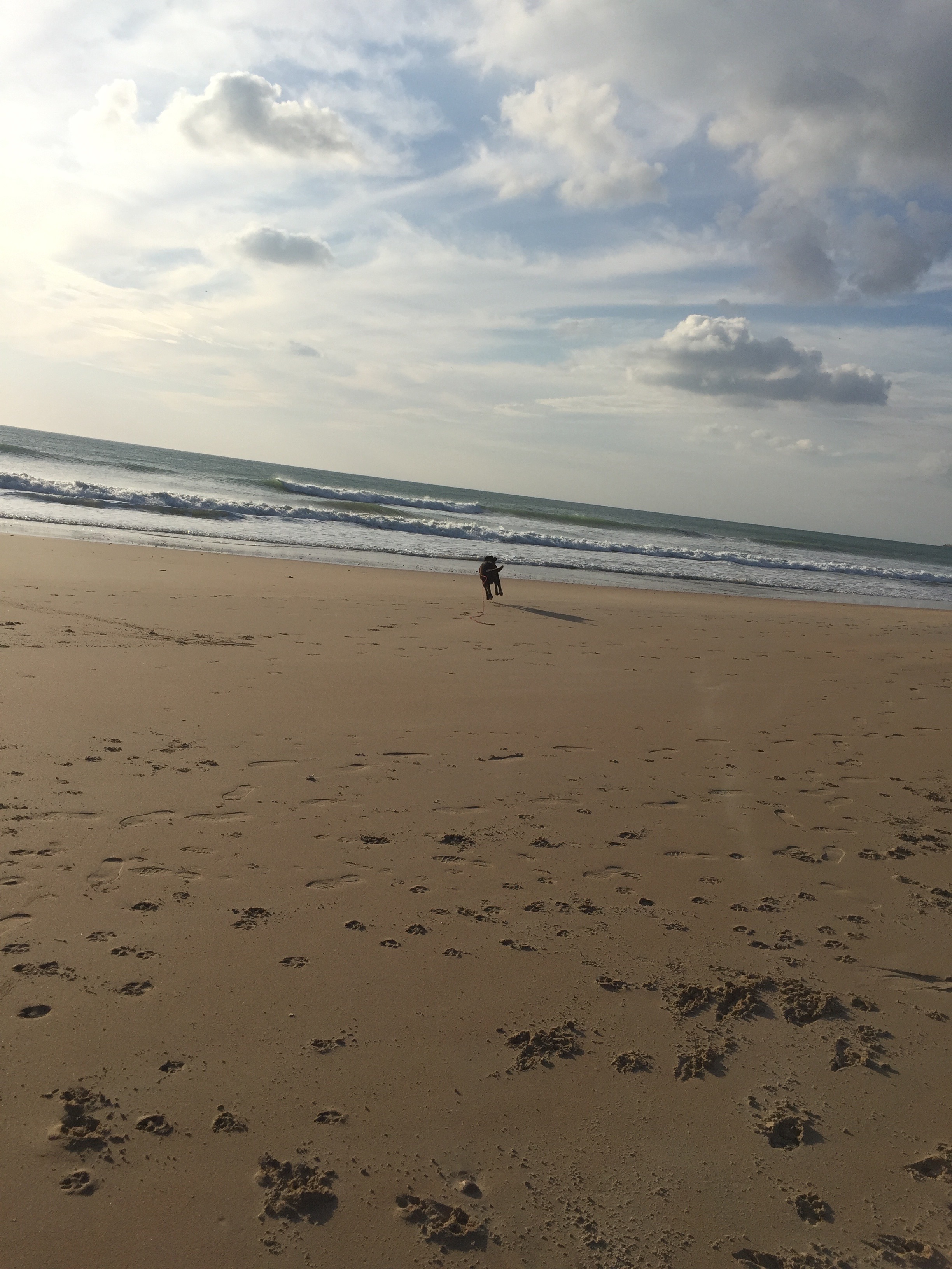 Ben schwebte vor Freude als wir am Playa de la Fontanilla ankamen
